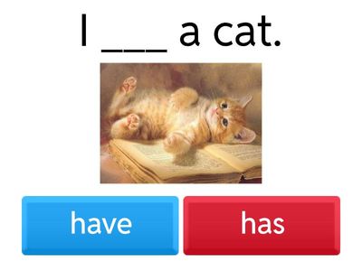 Have or Has - A1 English