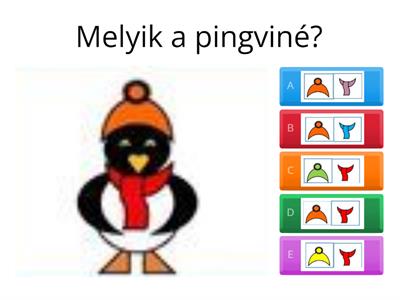 Milyen színű sálat és sapkát visel a pingvin? 