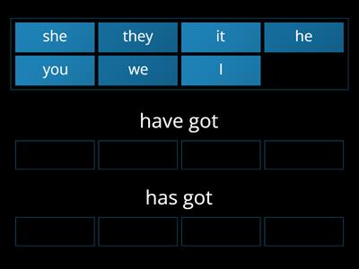 have got/has got