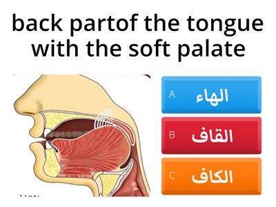 Articulation points