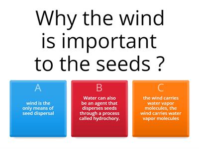 Seed dispersal by wind