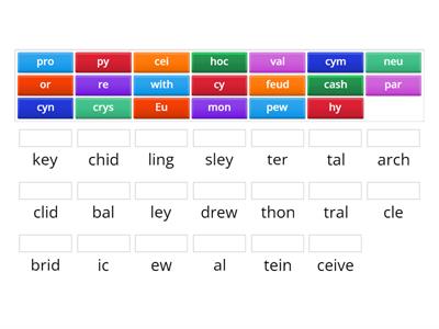 Level 5 Syllable Match (ew,eu, y, ey, ei)