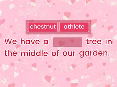 Pumpkin Words VCC/CV