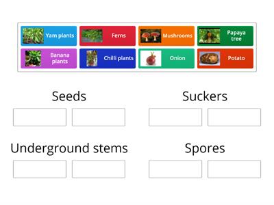 Ways of reproduction in plants. (Example)