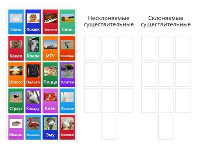 Склоняемые и несклоняемые существительные