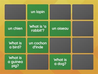 C'est quel animal? French pets memory match