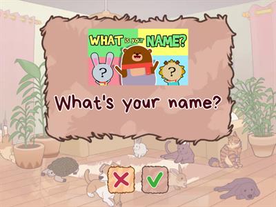 Personal questions|Elementary