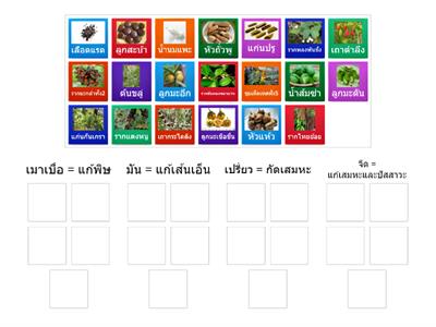 ตัวยา 9 รส +รูป (3)