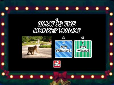1° ANIMALS - IS IT...?