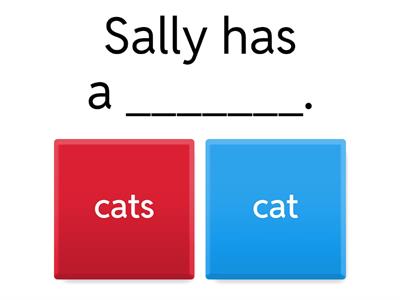 Singular and Plural nouns