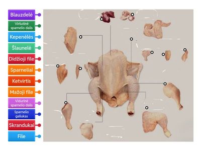 Vištienos skerdienos dalys