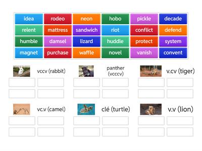  All Syllable Division Patterns