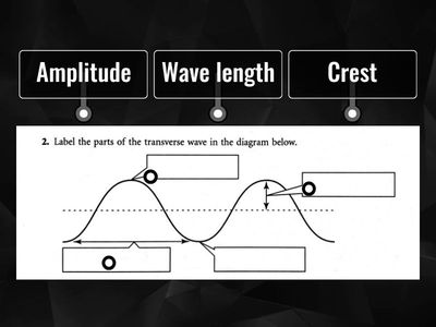 Wave Diagram