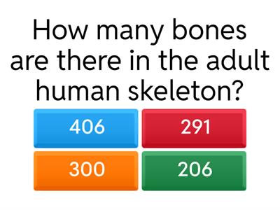 Skeleton Quiz