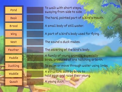 One Little Duck - Vocabulary