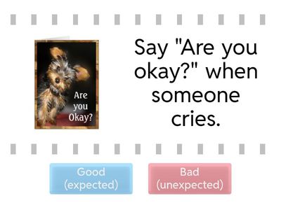 2 - Good (expected) and Bad (unexpected) Behavior