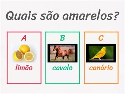 Identificação cores e tamanhos