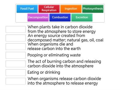 Carbon Cycle Vocabulary