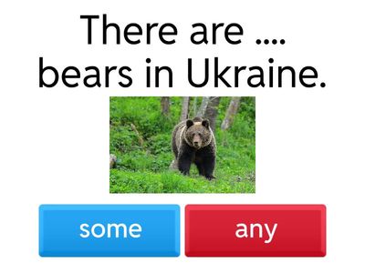 Academy Star 2 some /any 