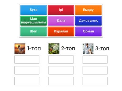 Порно дауыс беру мүшесі