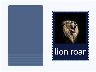 Oxford Phonics 1 Sight words