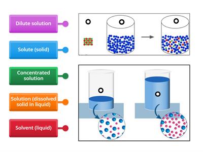Solutions - scaffold