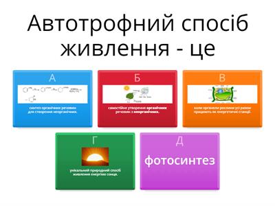  Корінь. Пагін. Стебло. Листок.