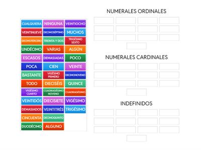 CLASIFICACIÓN NUMERALES E INDEFINIDOS.