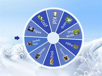 Animals and Baby Animals Wheel