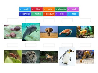 Beehive Starter. Unit 6 match up