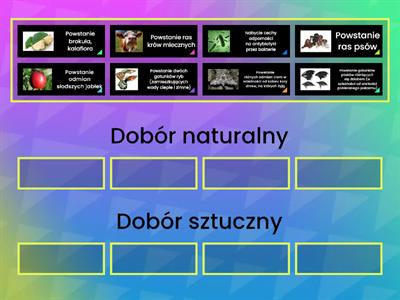 Mechanizmy ewolucji - dobór naturalny czy sztuczny