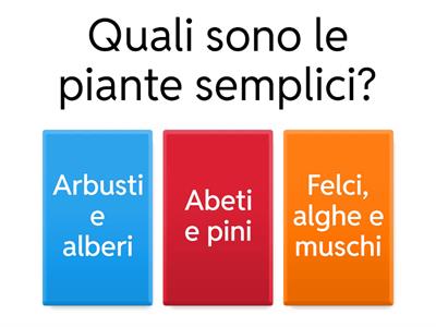 Test sulle Piante