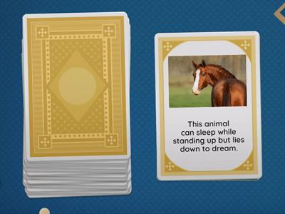 Guess What Animal Does It?