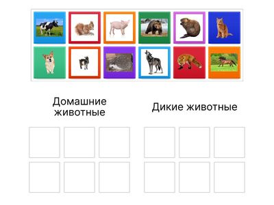 Домашние и дикие животные