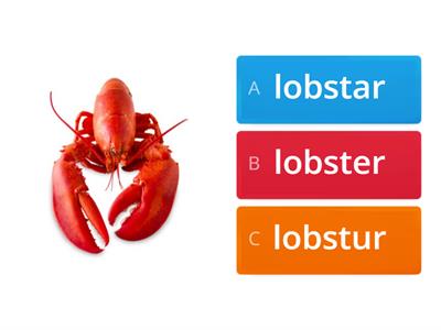 R-controlled Syllable Practice