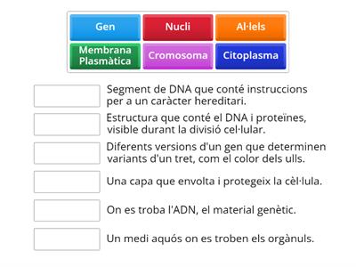 Què sabem?