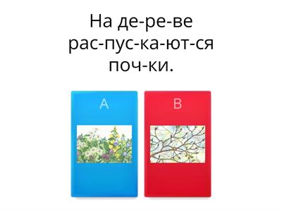 3-25+ Предложения – выбери картинку.