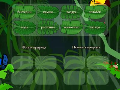 Окружающий мир