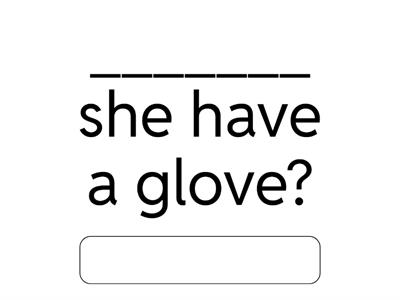 Do / Does / have / has