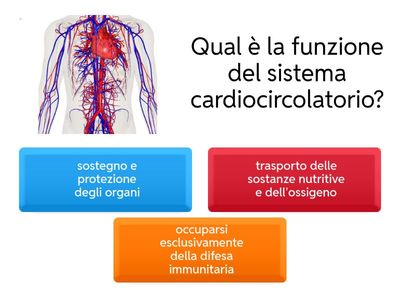 Sistema Cardiocircolatorio