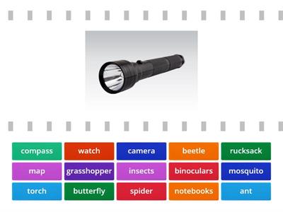 Revision Unit 1 (Young Explorers 1)