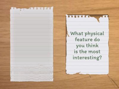 Physical Description