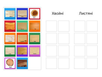 Хвойни и листяни породы дерева 2025
