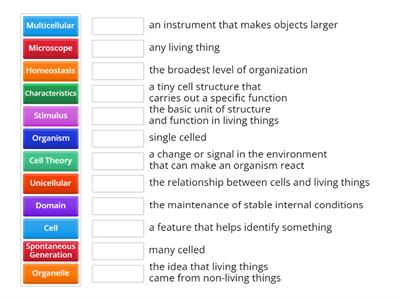 Cell Theory Vocab