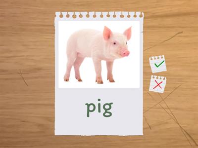 Buffaloes in Ukraine! ОДМ 2 клас