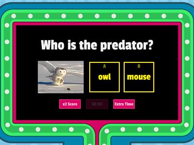 Predator vs. Prey Game Show
