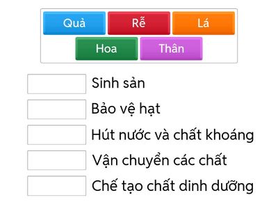 (MATCH UP)Bài 14: Chức năng một số bộ phận của thực vật