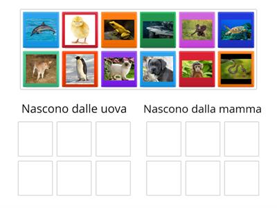 scienze classe prima