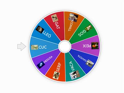 SANT ANTONI 1R CICLE