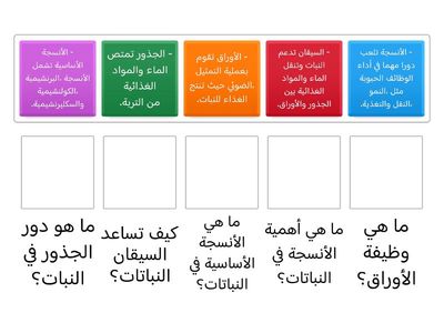 "بنك العلومات - الوحدة الثالثة: الأنسجة والأعضاء والأجهزة في النباتات"،